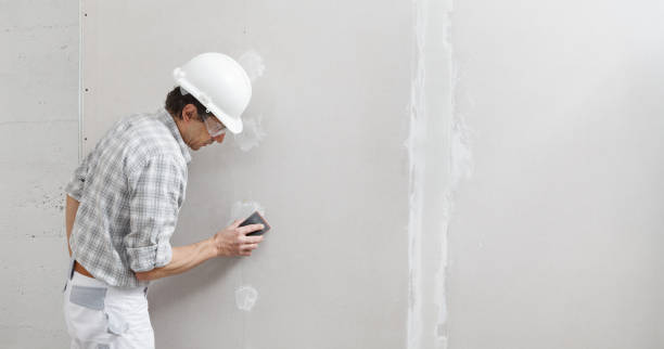 Parma, ID Mold Removal Company
