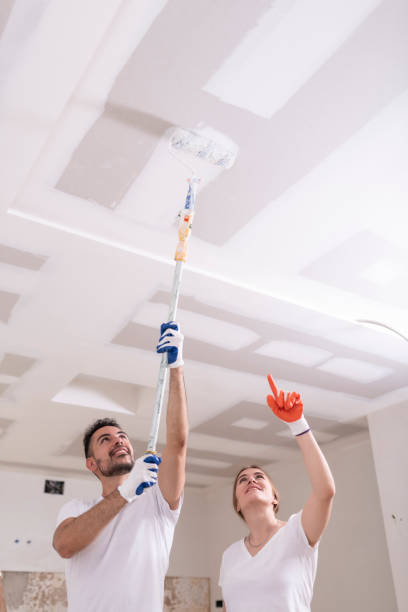 Best HVAC Mold Inspection and Cleaning  in Parma, ID