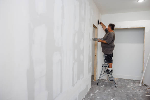 Best Mold Damage Restoration  in Parma, ID
