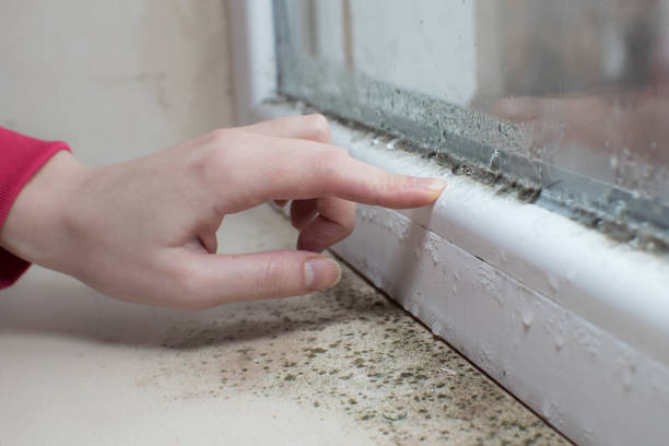 Best Indoor Air Quality Assessment  in Parma, ID