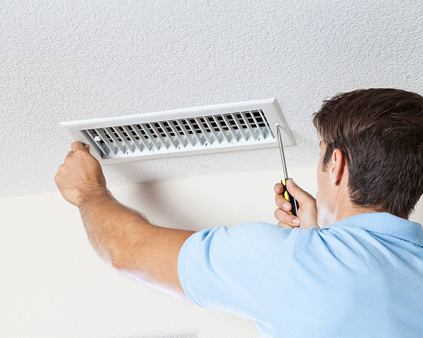 Best Environmental Consulting for Mold Prevention  in Parma, ID