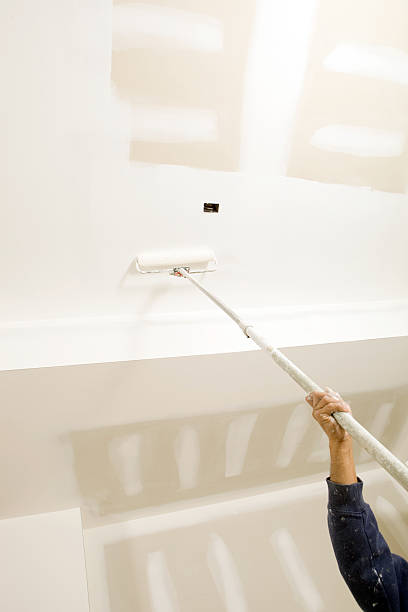 Reliable Parma, ID Mold Removal Solutions