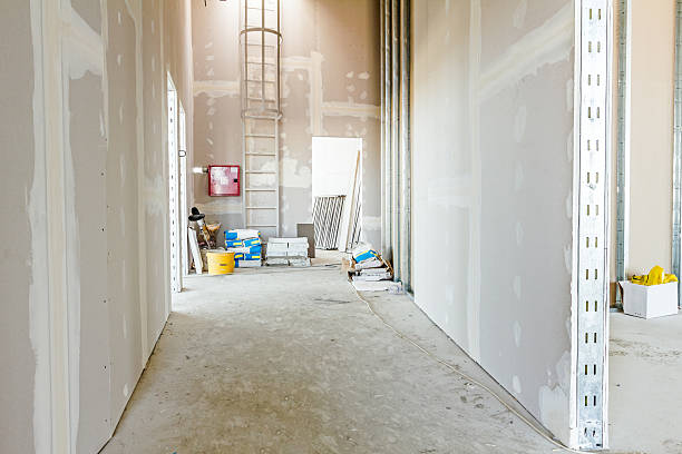 Best Mold Documentation for Insurance Claims  in Parma, ID