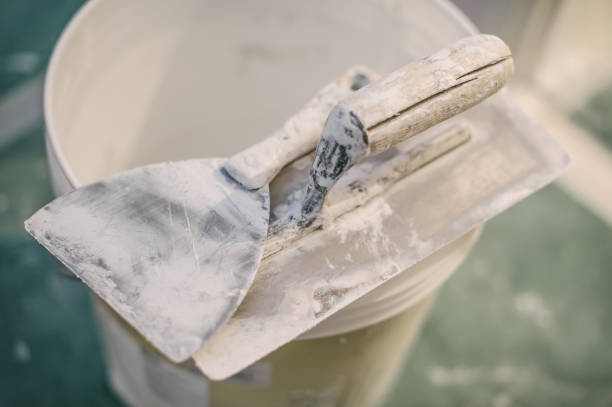 Best Mold Remediation for Rental Properties  in Parma, ID