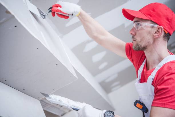 Best Mold Damage Restoration  in Parma, ID